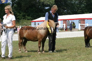 junibackens rasmus_1451.jpg